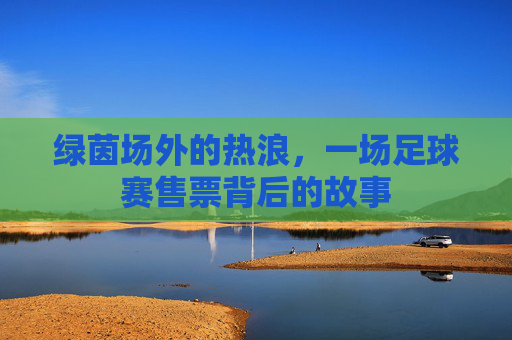绿茵场外的热浪,一场足球赛售票背后的故事