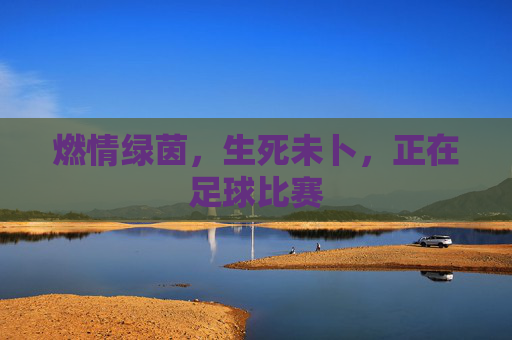 燃情绿茵,生死未卜,正在足球比赛