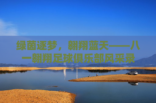 绿茵逐梦,翱翔蓝天——八一翱翔足球俱乐部风采录
