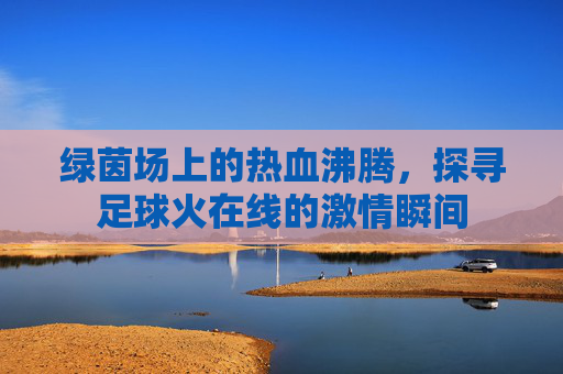 绿茵场上的热血沸腾,探寻足球火在线的激情瞬间