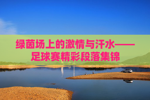 绿茵场上的激情与汗水——足球赛精彩段落集锦