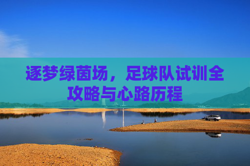 逐梦绿茵场，足球队试训全攻略与心路历程
