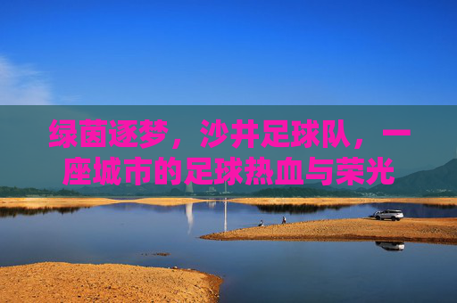 绿茵逐梦,沙井足球队,一座城市的足球热血与荣光