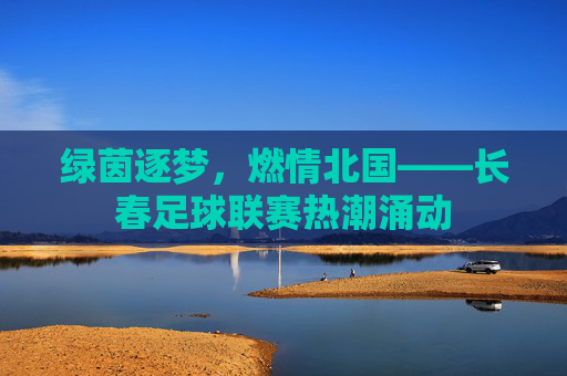 绿茵逐梦,燃情北国——长春足球联赛热潮涌动