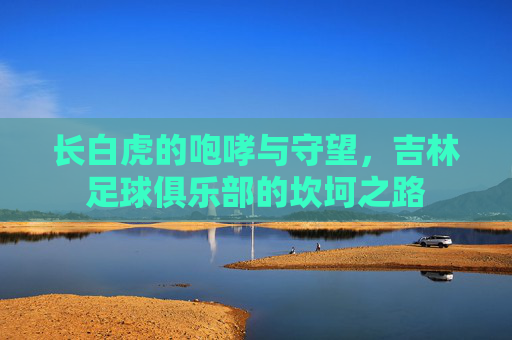 长白虎的咆哮与守望,吉林足球俱乐部的坎坷之路