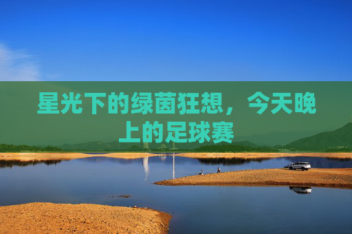 星光下的绿茵狂想,今天晚上的足球赛