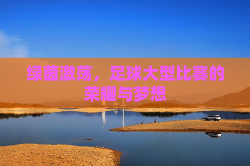 绿茵激荡，足球大型比赛的荣耀与梦想