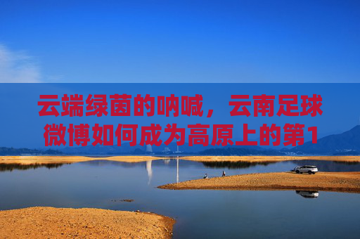 云端绿茵的呐喊,云南足球微博如何成为高原上的第12人