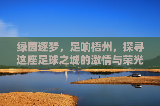 绿茵逐梦,足响梧州,探寻这座足球之城的激情与荣光