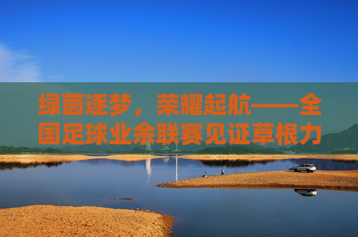 绿茵逐梦,荣耀起航——全国足球业余联赛见证草根力量