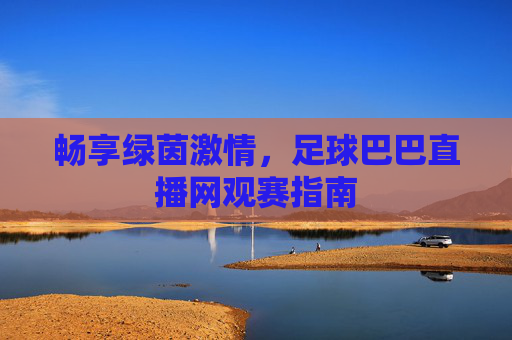 畅享绿茵激情,足球巴巴直播网观赛指南