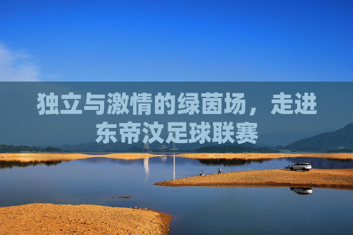独立与激情的绿茵场,走进东帝汶足球联赛