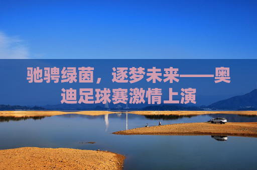 驰骋绿茵,逐梦未来——奥迪足球赛激情上演