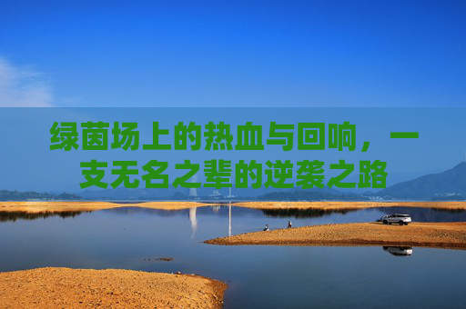 绿茵场上的热血与回响,一支无名之辈的逆袭之路