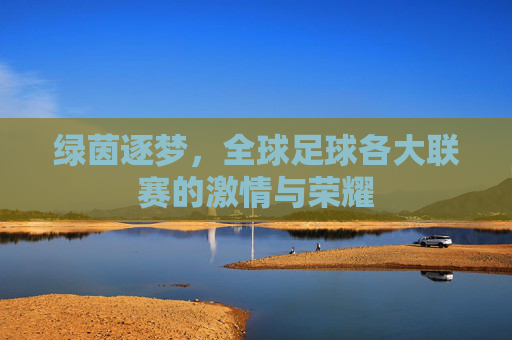 绿茵逐梦，全球足球各大联赛的激情与荣耀