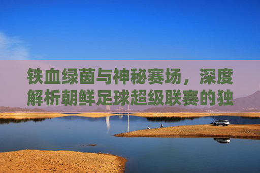 铁血绿茵与神秘赛场,深度解析朝鲜足球超级联赛的独特魅力