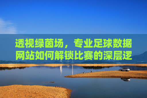 透视绿茵场，专业足球数据网站如何解锁比赛的深层逻辑
