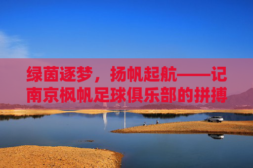绿茵逐梦,扬帆起航——记南京枫帆足球俱乐部的拼搏之路