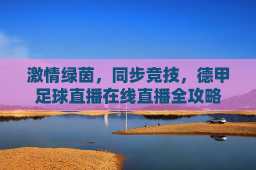 激情绿茵，同步竞技，德甲足球直播在线直播全攻略