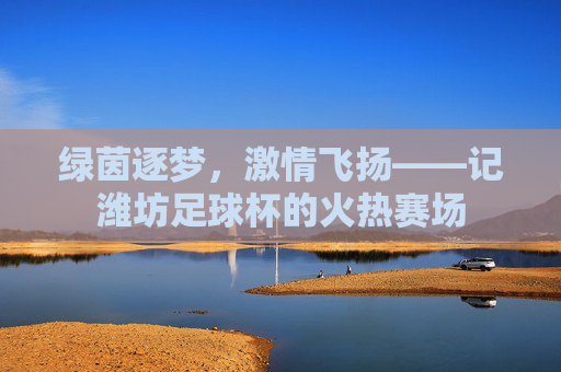 绿茵逐梦,激情飞扬——记潍坊足球杯的火热赛场