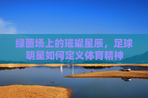 绿茵场上的璀璨星辰，足球明星如何定义体育精神