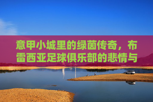 意甲小城里的绿茵传奇,布雷西亚足球俱乐部的悲情与辉煌