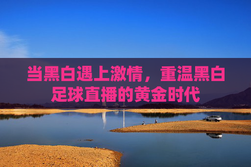 当黑白遇上激情,重温黑白足球直播的黄金时代