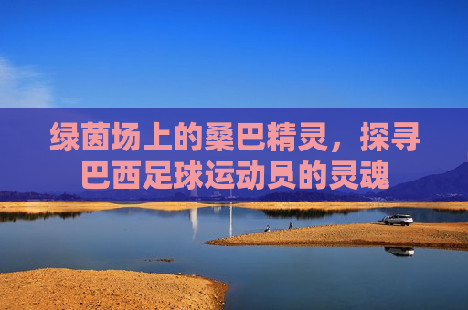 绿茵场上的桑巴精灵,探寻巴西足球运动员的灵魂
