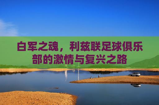 白军之魂,利兹联足球俱乐部的激情与复兴之路