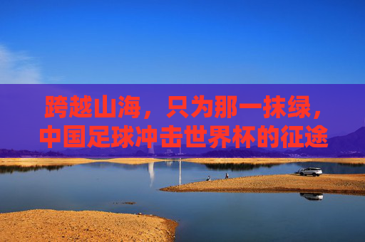 跨越山海，只为那一抹绿，中国足球冲击世界杯的征途