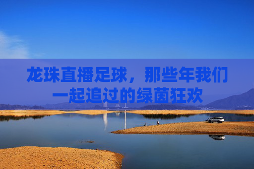 龙珠直播足球,那些年我们一起追过的绿茵狂欢