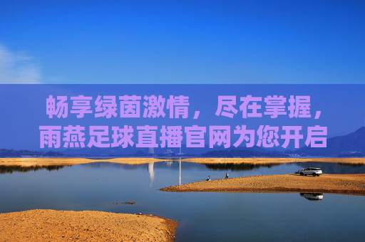 畅享绿茵激情,尽在掌握,雨燕足球直播官网为您开启24小时观赛新纪元