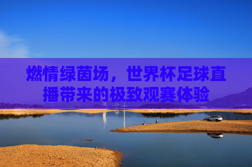 燃情绿茵场,世界杯足球直播带来的极致观赛体验