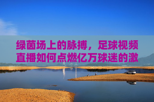 绿茵场上的脉搏,足球视频直播如何点燃亿万球迷的激情