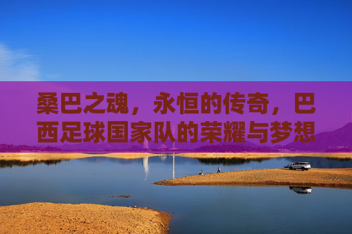 桑巴之魂，永恒的传奇，巴西足球国家队的荣耀与梦想