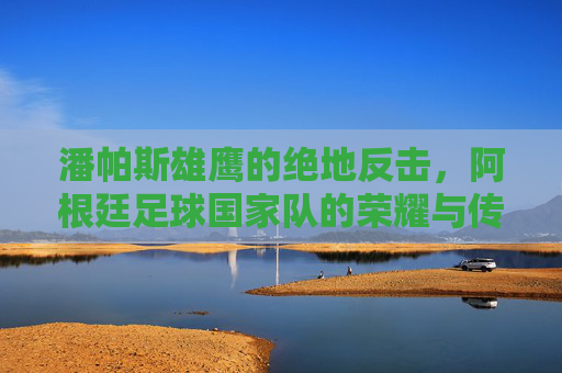 潘帕斯雄鹰的绝地反击，阿根廷足球国家队的荣耀与传奇