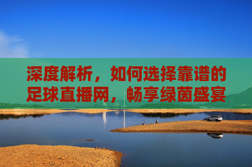深度解析,如何选择靠谱的足球直播网,畅享绿茵盛宴