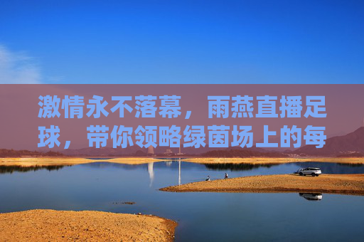 激情永不落幕,雨燕直播足球,带你领略绿茵场上的每一个精彩瞬间