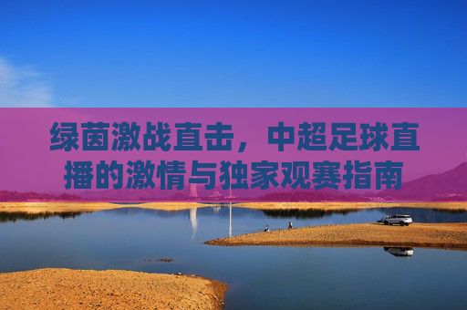 绿茵激战直击，中超足球直播的激情与独家观赛指南