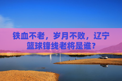 铁血不老,岁月不败,辽宁篮球锋线老将是谁?