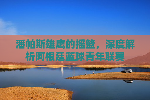 潘帕斯雄鹰的摇篮,深度解析阿根廷篮球青年联赛