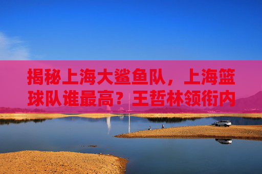 揭秘上海大鲨鱼队,上海篮球队谁最高?王哲林领衔内线高度