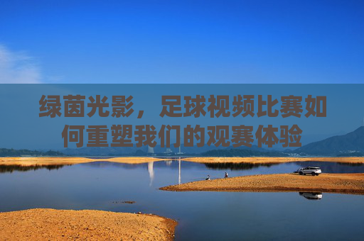 绿茵光影,足球视频比赛如何重塑我们的观赛体验