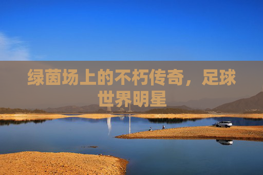 绿茵场上的不朽传奇,足球世界明星