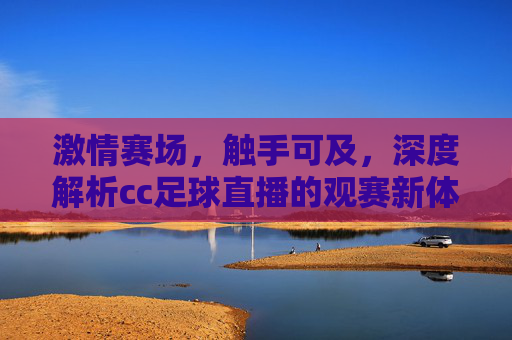 激情赛场,触手可及,深度解析cc足球直播的观赛新体验