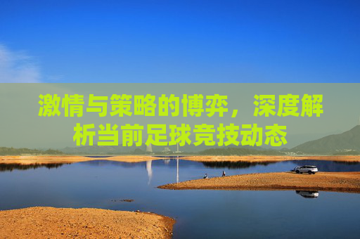 激情与策略的博弈,深度解析当前足球竞技动态