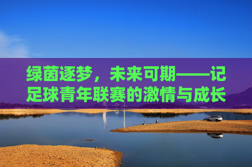 绿茵逐梦，未来可期——记足球青年联赛的激情与成长