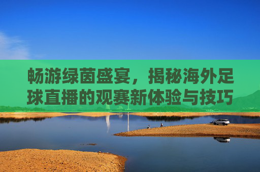畅游绿茵盛宴,揭秘海外足球直播的观赛新体验与技巧