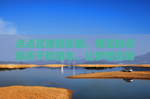 点点足球俱乐部,用足球点亮孩子的童年,让梦想在绿茵场上启航