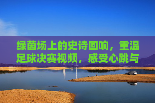绿茵场上的史诗回响,重温足球决赛视频,感受心跳与荣耀